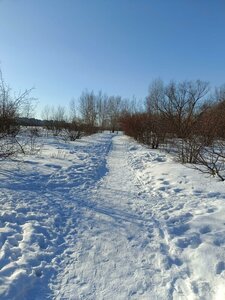 Омск, Улица Старозагородная Роща, 10/1: фото