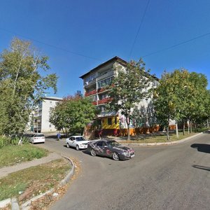 Sholom-Aleykhema Street, 49, Birobidgan: photo