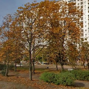 Киев, Улица Энтузиастов, 9: фото