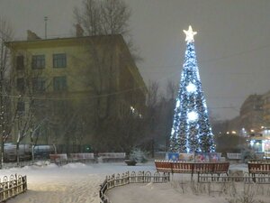 Bolshaya Zelenina Street, 15, Saint Petersburg: photo