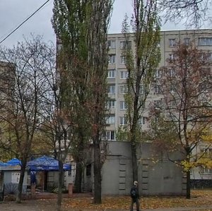 Anatoliia Solovianenka Street, 8А, Kyiv: photo