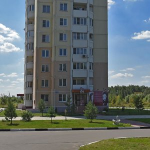 Bolshaya Pokrovskaya ulitsa, 60к2, Pavlovskiy Posad: photo