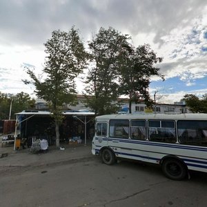 Pionerskaya Street, 51, : foto