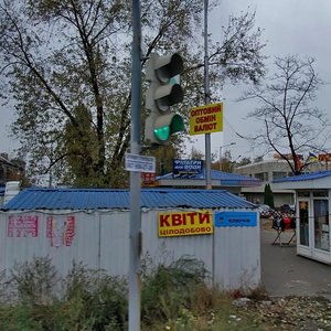 Volodymyra Sosiury Street, 1А, Kyiv: photo