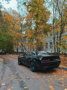 Starye Kuzminki Street, 6, : foto
