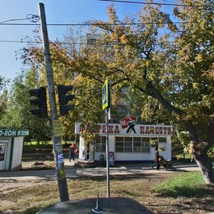 Kirova Avenue, 246А, Samara: photo