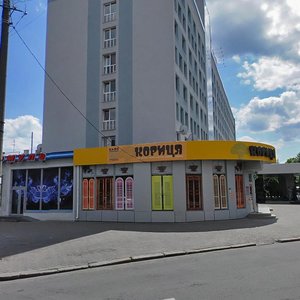 Vulytsia Mitskevycha, 32, : foto