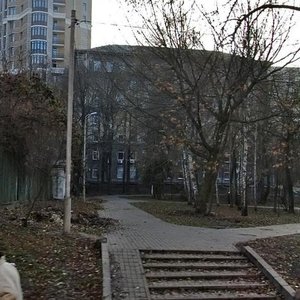 Mykhaila Kotsiubynskoho Street, 1, Kyiv: photo