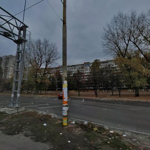 Zodchykh Street, 66, Kyiv: photo