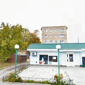 Vulytsia Serhiia Kaminskoho, 1, Boryspil: photo