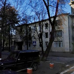 Shovkovychna Street, 12, Kyiv: photo