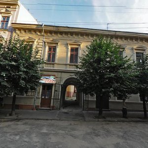 Vulytsia Mitskevycha, 7, Chernivtsi: photo