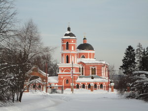 Зеленоградский лесопарк фото