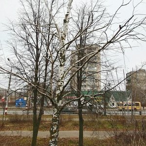 Prospekt Tsiolkovskogo, 86А, Dzerzhinsk: photo