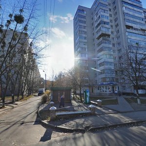 Bulvar Kniahyni Olhy, 3, Bila Tserkva: photo