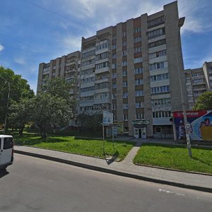Трускавец, Улица Василия Стуса, 2: фото