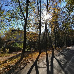 Дубна, Улица В.И. Векслера, 6/1: фото