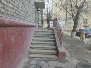 Волгоград, Улица Маршала Ерёменко, 74: фото