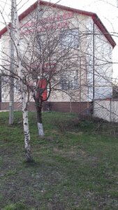 Puchkovka Street, 41, Kursk: photo