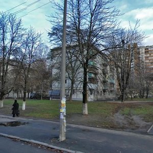 Heroiv Sevastopolia Street, 25, Kyiv: photo