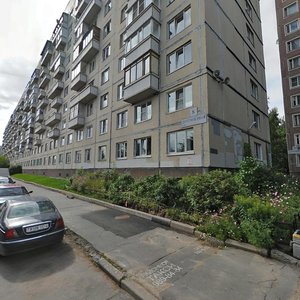 Dolgoozyornaya Street, 8 ، سان بطرسبرغ: صورة