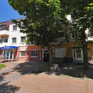 Vulytsia Hrushevskoho, 48 ، : صورة