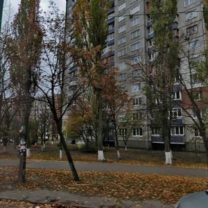 Marshala Yakubovskoho Street, 5, Kyiv: photo