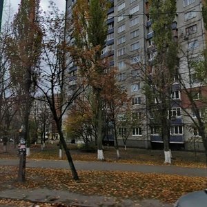 Marshala Yakubovskoho Street, No:5, Kiev: Fotoğraflar