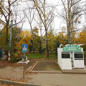 Chaadaeva Street, 5, Nizhny Novgorod: photo