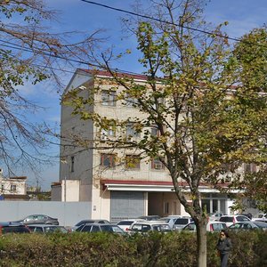 Fadeev Street, 159, : foto