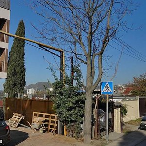 Vinogradnaya Street, 141, Sochi: photo