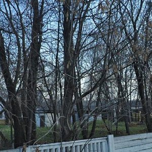 Yaroslavskoye Highway, вл3к3с7 ، موسكو: صورة