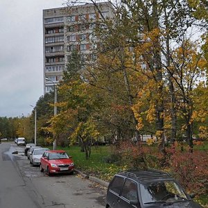 Yuriya Gagarina Avenue, 28к1, Saint Petersburg: photo