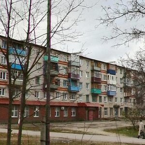 Prospekt Dzerzhinskogo, 46, : foto