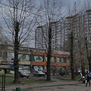 Polyarnaya Street, 10с1, : foto