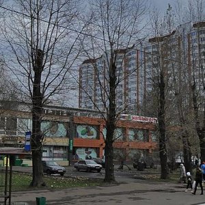 Polyarnaya Street, 10с1, Moscow: photo