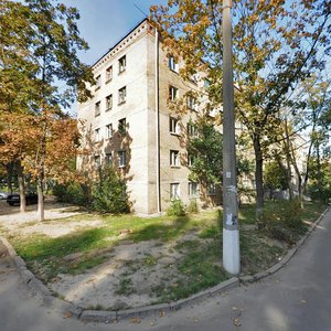 Oleny Telihy Street, 45А, Kyiv: photo