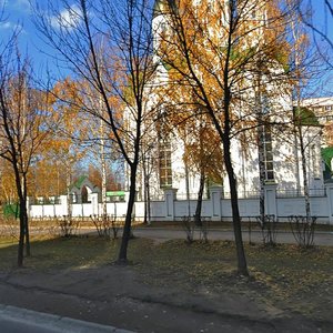 Novosyolov Street, 33В, Ryazan: photo