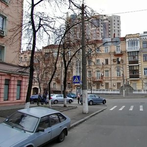 Symona Petliury Street, 10, : foto