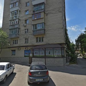 Mykhaila Kotelnykova Street, 46, Kyiv: photo