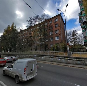 Vadyma Hetmana Street, 22, Kyiv: photo