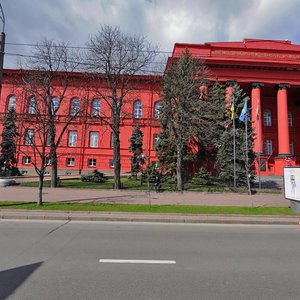 Volodymyrska Street, 60, Kyiv: photo