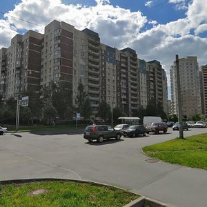 Kamyshovaya Street, 2к2, Saint Petersburg: photo