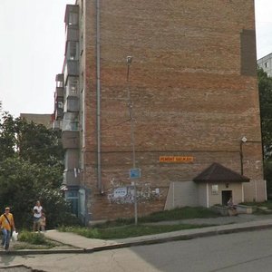 Dneprovskaya Street, 36, Vladivostok: photo
