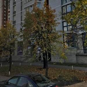Pavla Tychyny Avenue, 2, : foto