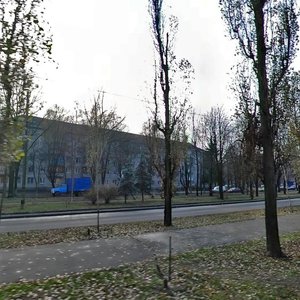 Vatslava Havela Boulevard, 17, Kyiv: photo