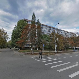 Akademika Bulakhovskoho Street, 32, Kyiv: photo