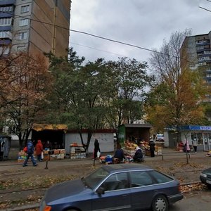 Marshala Yakubovskoho Street, 7, Kyiv: photo