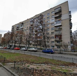 Bohdana Havrylyshyna Street, 11, Kyiv: photo