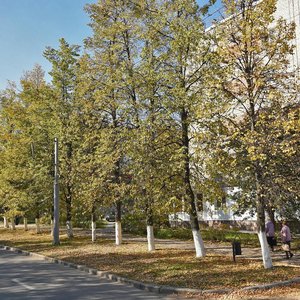 Neftyanikov Avenue, 27, Elabuga: photo